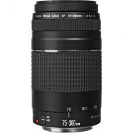 EF 75-300MM F/4.0-5.6 III