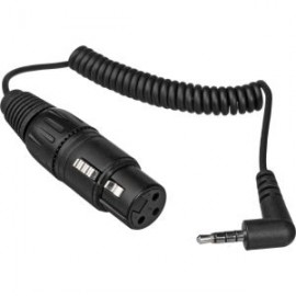 KA600i ADAPTADOR PLUG 3.5MM TRRS A XLR MACHO