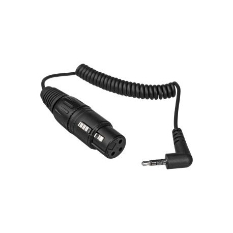 KA600i ADAPTADOR PLUG 3.5MM TRRS A XLR MACHO