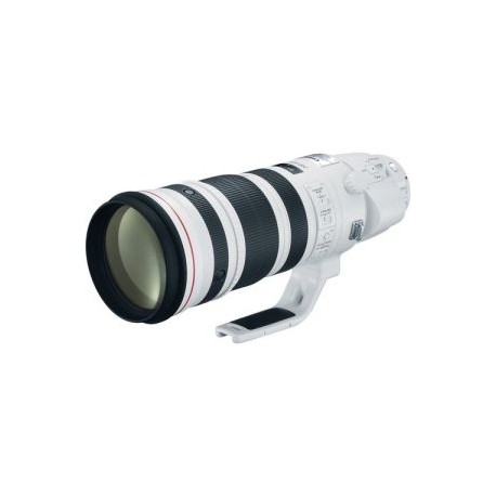 EF 200-400MM F/4L IS USM CON EXTENDER 1.4X INTERNO